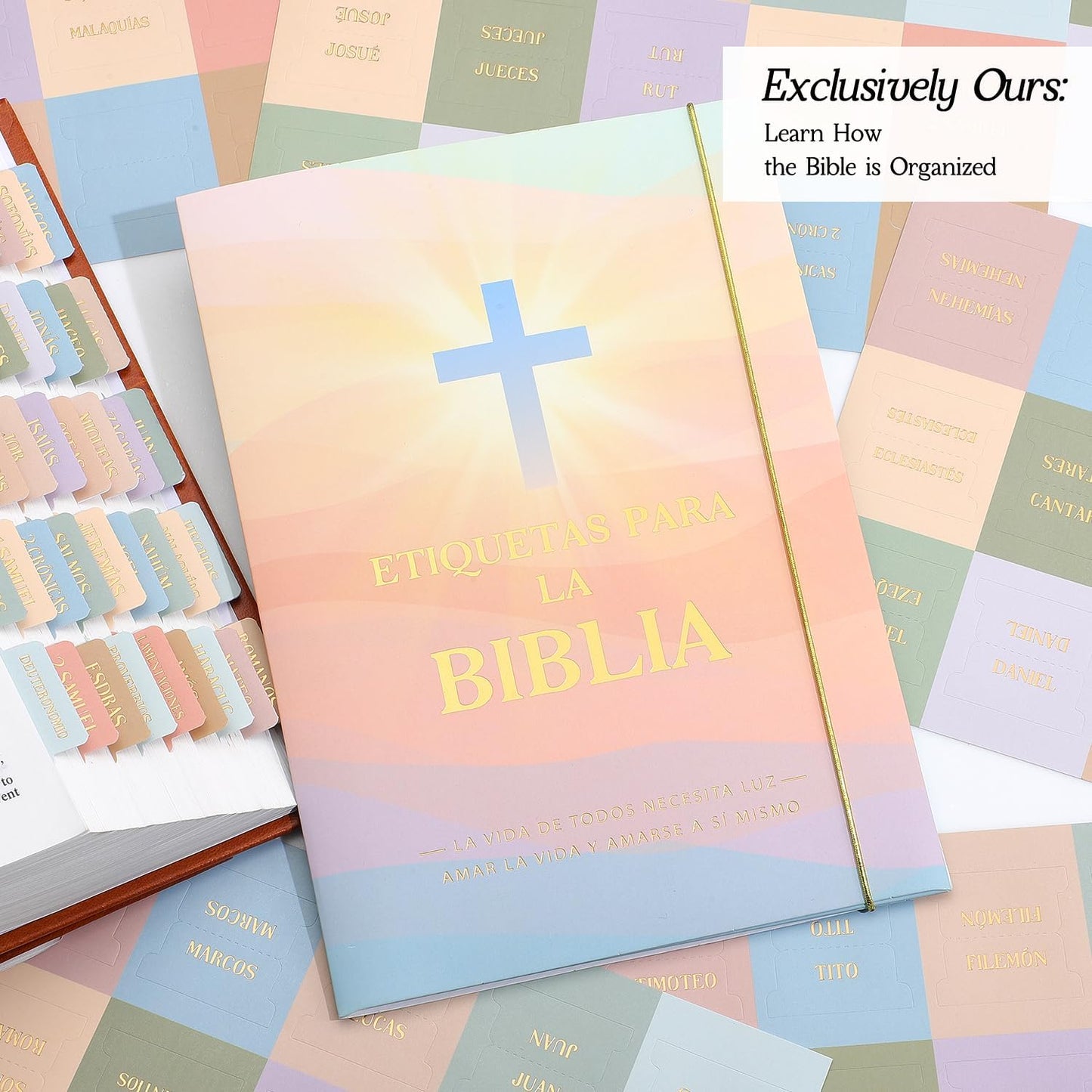 Laminated Bible Tabs, Gold Foil Embossed Lettering Bible Chapter Index Tabs for Women Men, Reposition Large Print Sticky Labels, Easy to Read and Apply, 105Chapters Labels for Easy Navigation (Black)