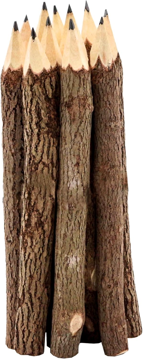 BSIRI Wooden Pencils Rustic Bark Twig Natural Wood Pencil 12 Pack 5 Inch for Kids Classroom Woodland Party Favors Camping Day Decorations Camp Themed Supplies Novelty Gifts