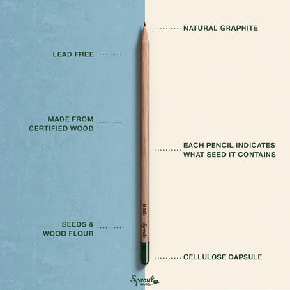SproutWorld Wood-Cased Pencils | EVERYDAY EARTH | HB Pre-Sharpened Graphite Plantable Wooden Pencils with Flower, Herb & Vegetable Seeds |Gift Ideal for Drawing, Sketching & Shading | 12 Pack