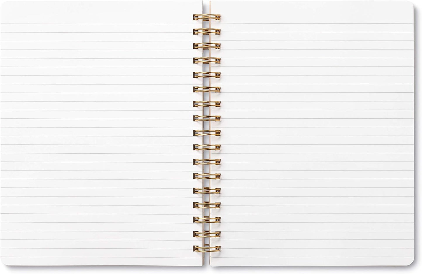 Compendium Spiral Notebook – Expect the Best Things to Happen Today – A Designer Spiral Notebook with 192 Lined Pages, College Ruled, 7.0" W x 9.25" H