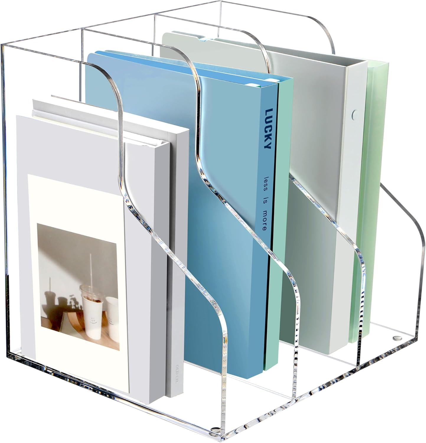 SANRUI 2-Pack Acrylic Magazine File Holder Desk Organizer Magazine Rack, Clear, Vertical File Sorter Holders, 9.45" D x 3.54" W x 10.24" H