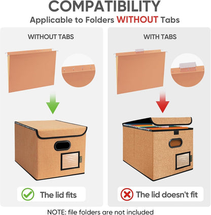 BALEINE File Organizer Box with Lid, Collapsible File Folder Organizer with Plastic Slide, Hanging File Folder Box for Office Document Storage (1 Pack, Black)