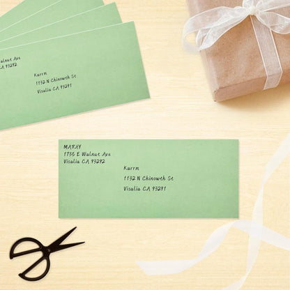 50 Pack #10 Business Envelopes, Sage Green Standard Envelopes Self Seal, Letter Size Mailing Envelopes for Checks Letters Invoices Statements Birthday Graduation Wedding, 4 1/8 x 9 1/2 Inch