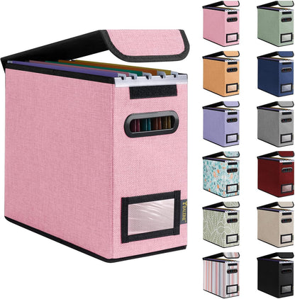 BALEINE File Organizer Box with Lid, Collapsible File Folder Organizer with Plastic Slide, Hanging File Folder Box for Office Document Storage (1 Pack, Black)