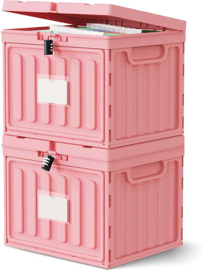 Oterri Plastic File Box with Lid for Letter Size Hanging File Folders, Hanging File Folder Box for Home, Office, School, File Cabinet, Assembly File Organizer, Pink，Large-1 Pack Without Folders