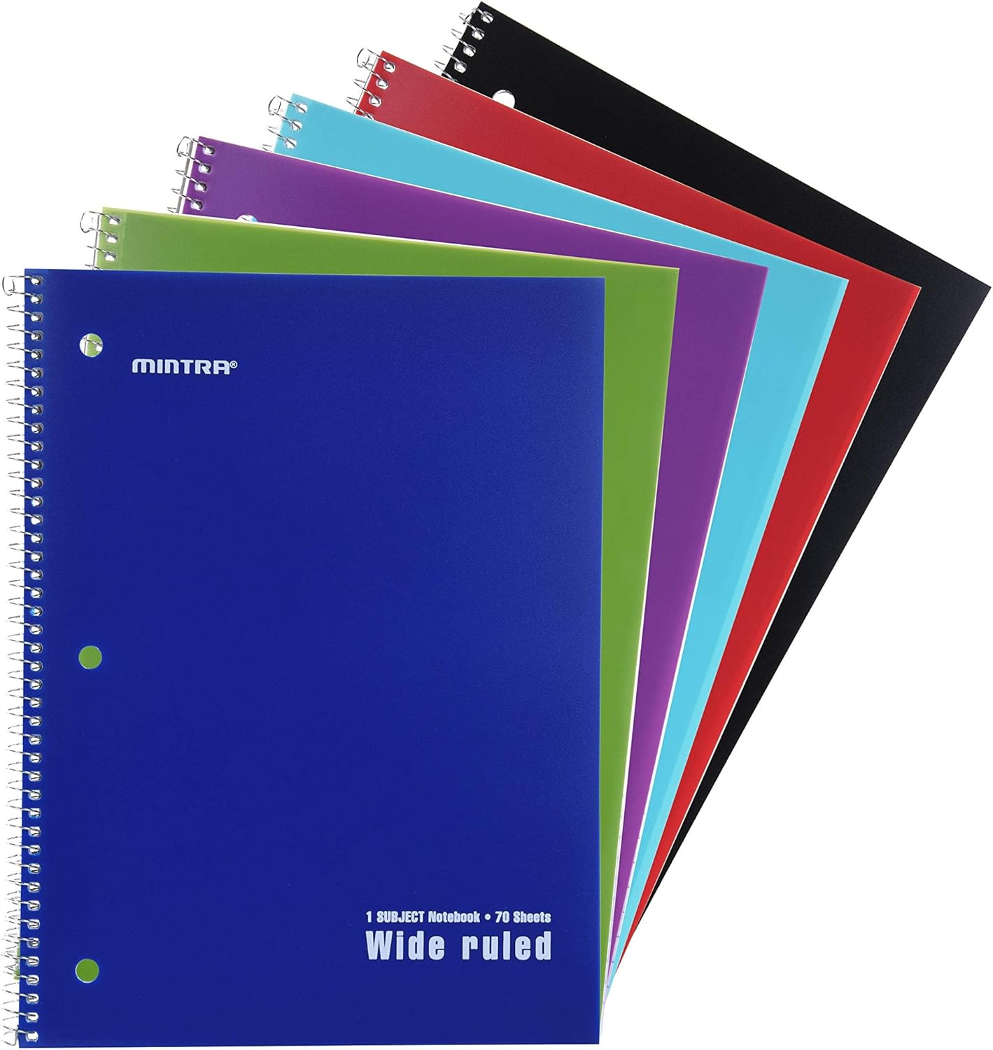 Mintra Office Spiral Notebooks, Wirebound, Journals for School, Work, Business, Aesthetic Stationery, Writing Pads, Teacher & Student Supplies (6, Pastel, College)