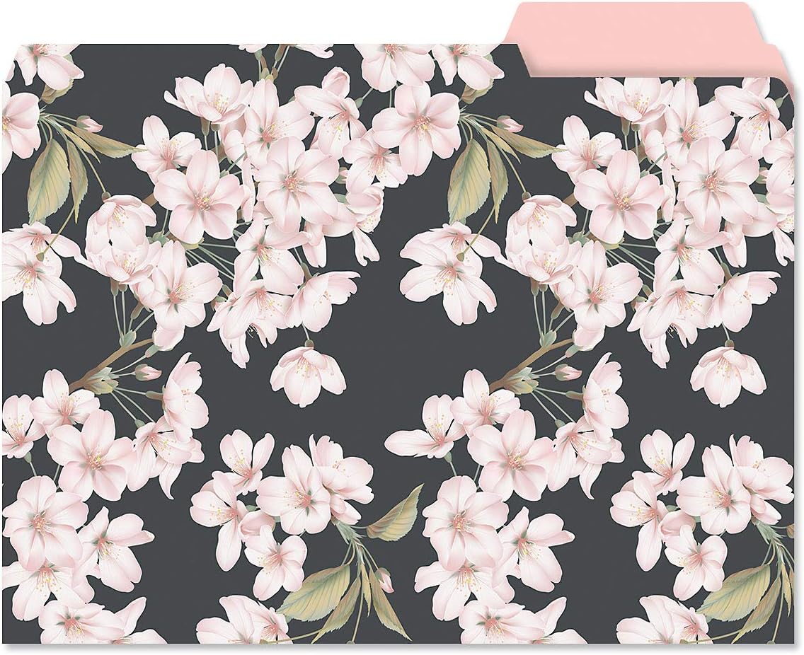 Current Floral Fun File Folders Value Pack - Bulk Set of 24, 6 Pretty Decorative Designs, 1/3 Cut Tabs, Heavy-Duty Paper Stock, Office Supplies for Home & Work, 9-½” x 11-¾” Letter Size