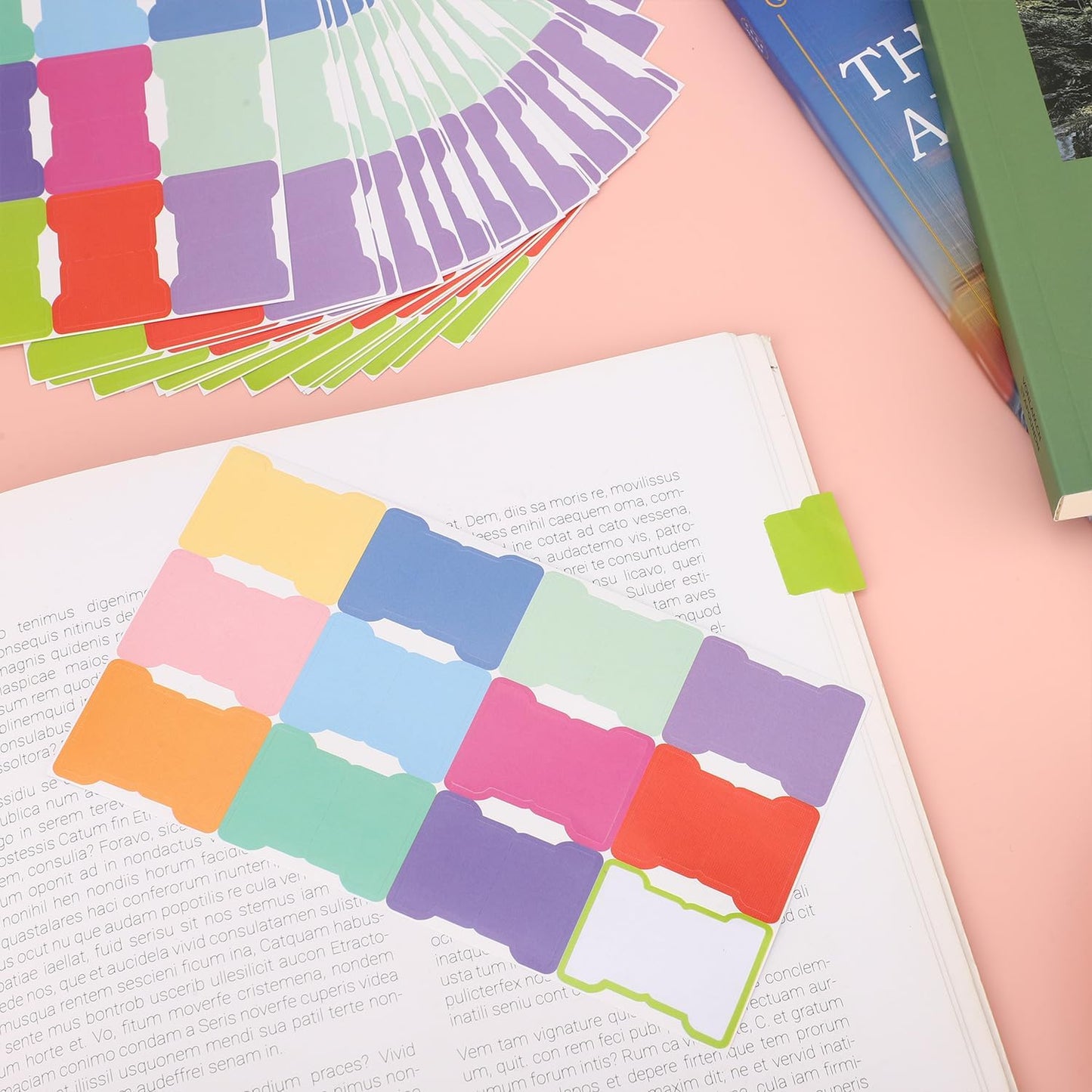 20 Sheets/240 Pieces Sticky Index Tabs, Double Sided Book Page Markers Tabs Blank Monthly Tabs Writable Sticky Notes Flags Self Adhesive Planner Stickers for Labeling (Rainbow Blank)