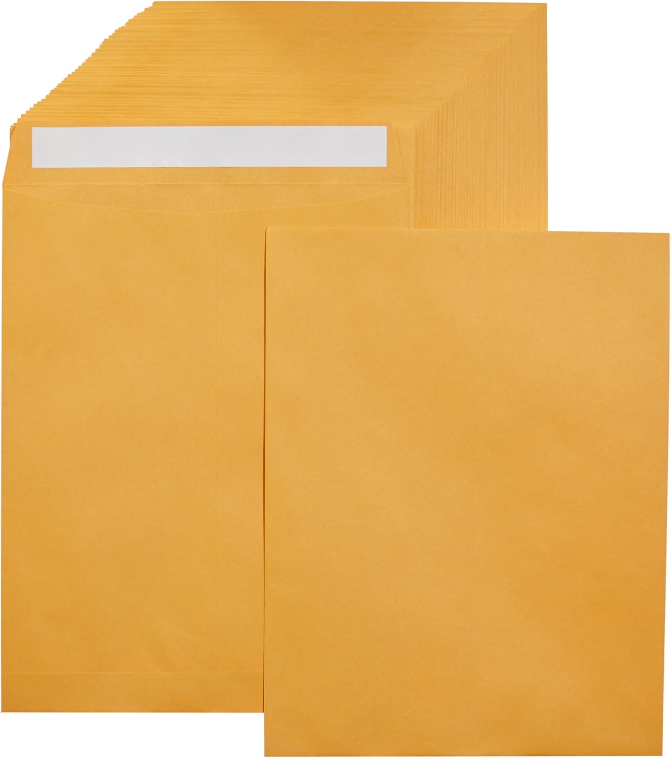 Amazon Basics Catalog Mailing Envelopes, Peel and Seal, 9" x 12", Brown Kraft, 100-Pack