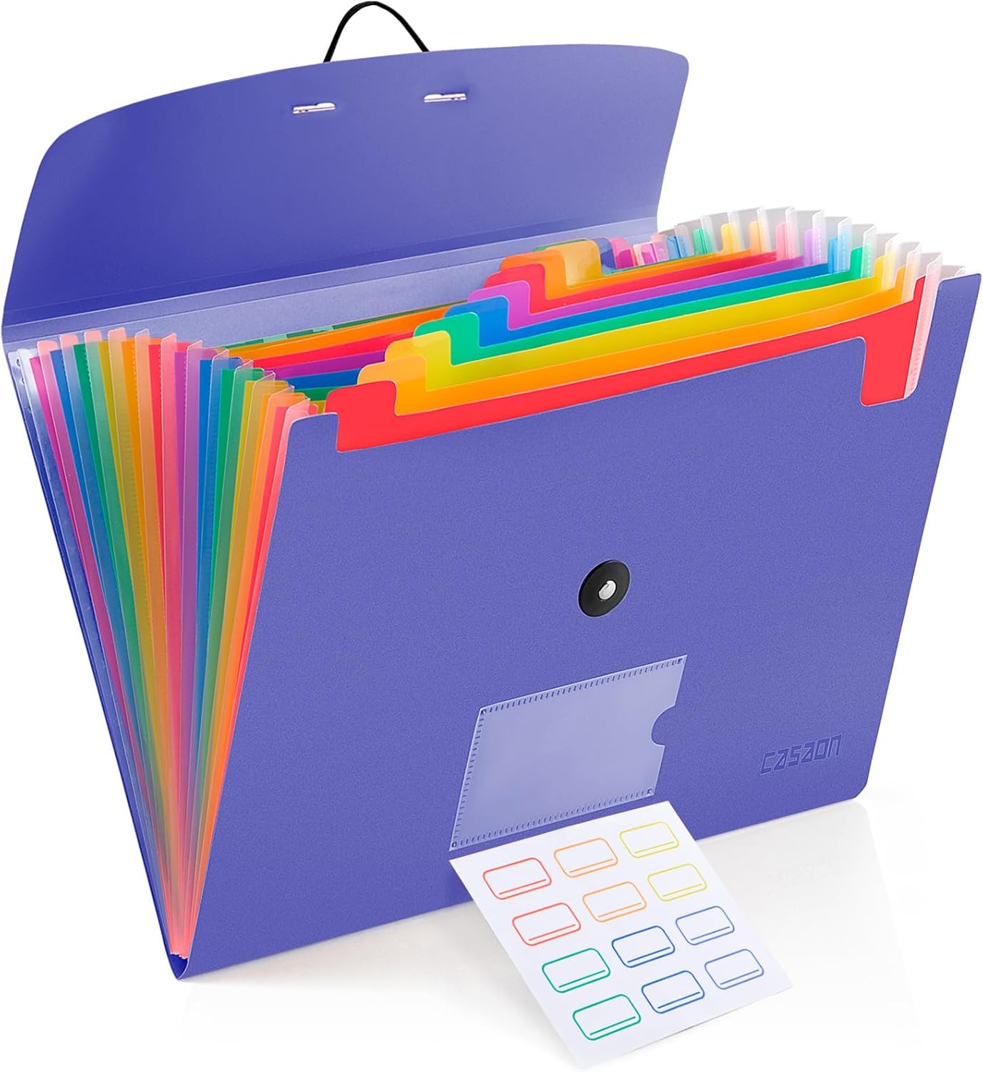 13 Pocket Expanding File Folder Accordian File Organizer, A4 Letter Size Paper Document Receipt Holder for School Office Supplies, Black