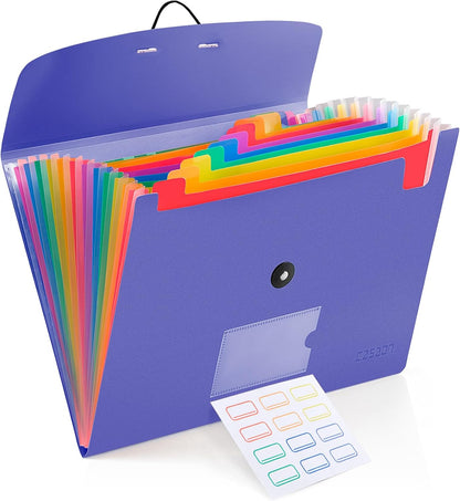 13 Pocket Expanding File Folder Accordian File Organizer, A4 Letter Size Paper Document Receipt Holder for School Office Supplies, Black