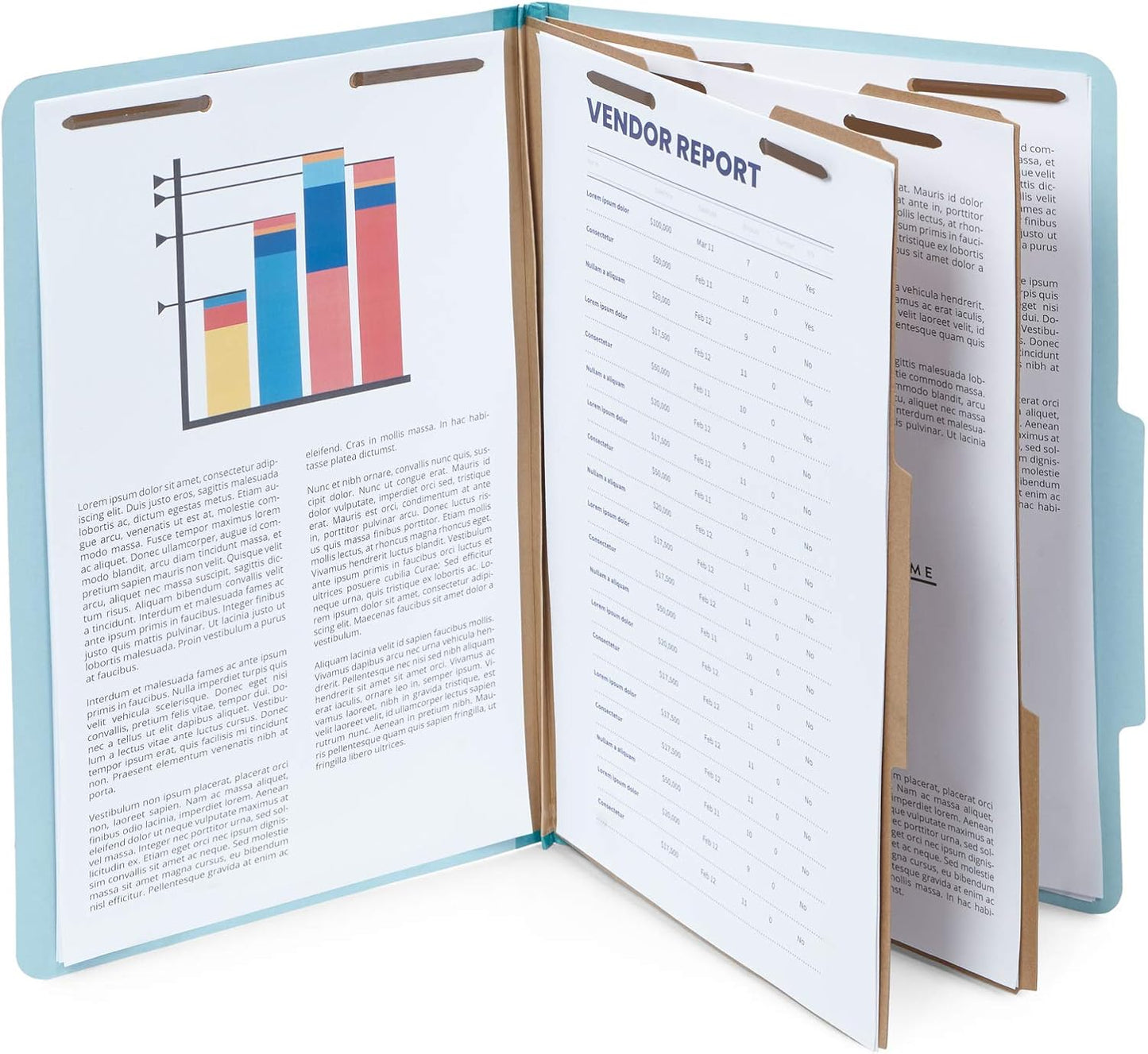 10 Blue Legal Size Classification Folders - 2 Divider 2 Inch Tyvek expansions - Durable 2 Prongs Designed to Organize Standard Law Client Files, Office Reports - Legal Size, 8 3/4 x 14 3/4, 10 Folders