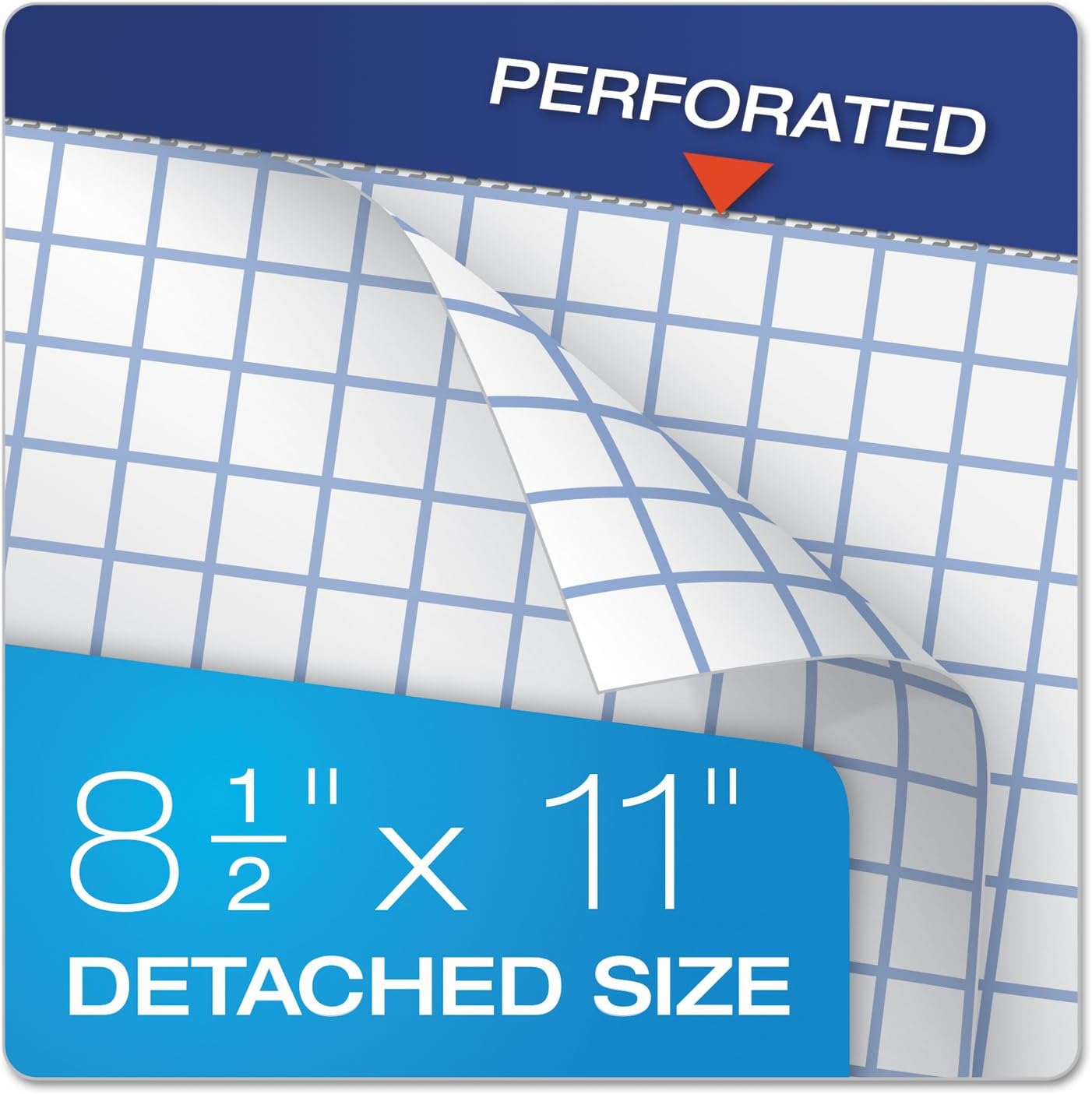 Ampad Evidence Quad Dual-Pad, Quadrille Rule, Letter Size (8.5 x 11.75), White, 100 Sheets per Pad (20-210)
