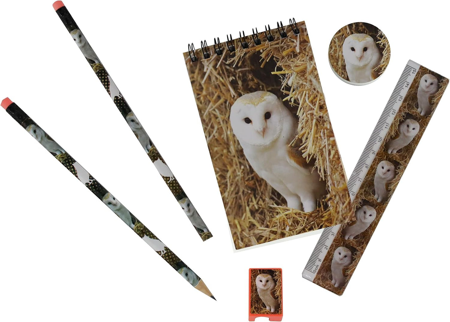 Deluxebase Wild Stationery Set - Dolphin from Animal Stationery Sets with 2 Pencils, Eraser, Pencil Sharpener, Ruler & Cute Notebook. Ideal Office Supplies, Desk Accessories & College Essentials.