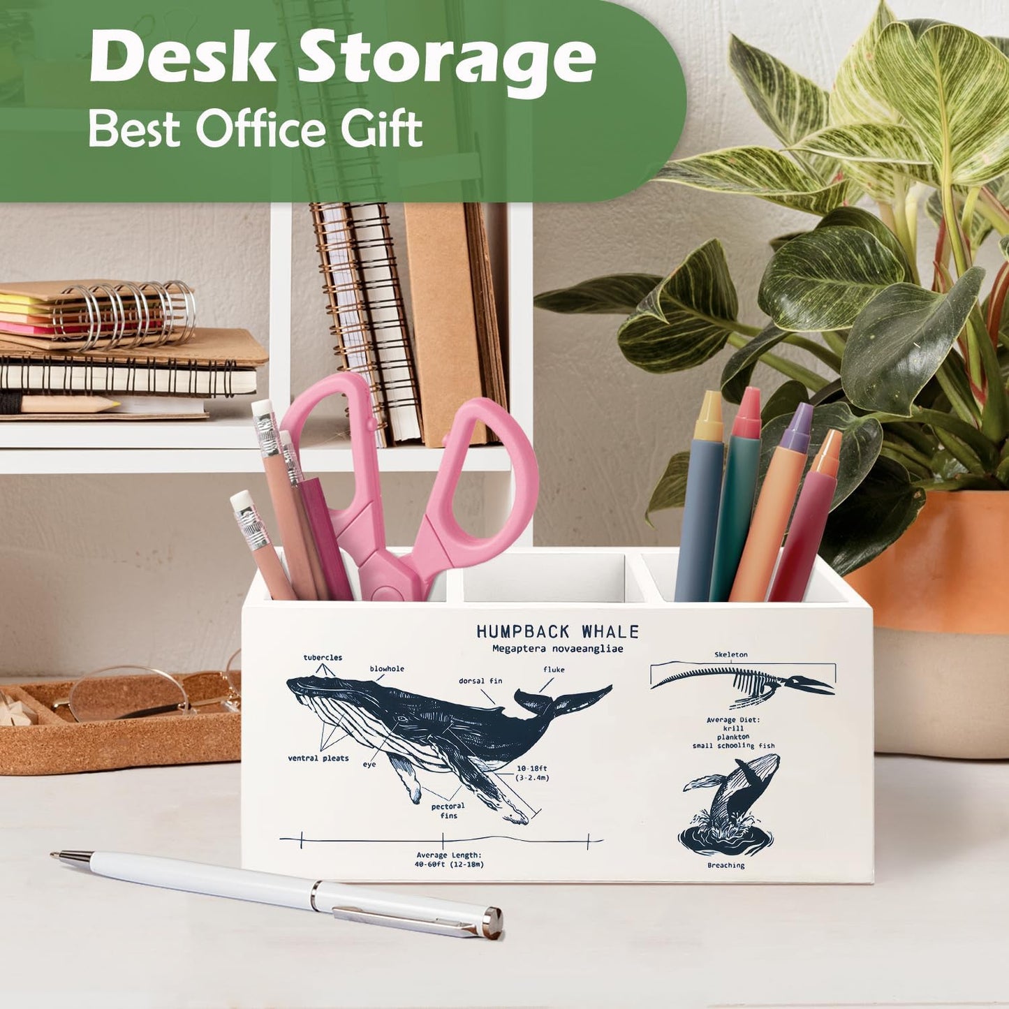 Killer Whale Gifts Wooden Pen Pencil Holder, Whale Shark Gifts for Ocean Lovers, Marine Biology Wooden Makeup Brush Organizer