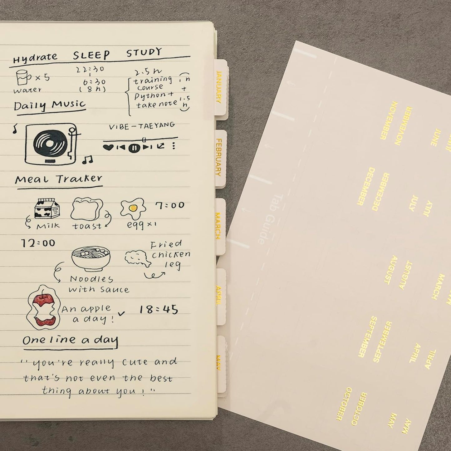 Lumintutu Laminated Planner Monthly Stickers,40 Adhesive Plan Tabs for Notebooks (2 Sets 12 Month Tabs and 16 Blank Tabs), Calendar Monthly Divider Set (Cappuccino)