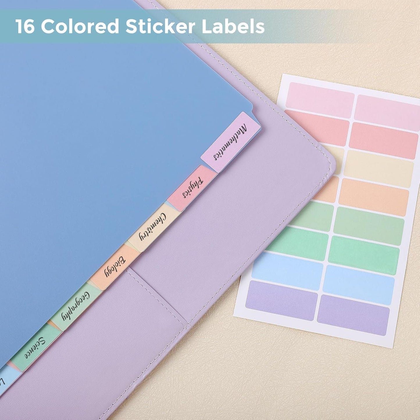 SKYDUE 8 Tab Durable Plastic Dividers, Big Tab Dividers for 3 Ring Binder, Letter Size,Write & Erase Binder Dividers with Tabs, with Sticker Labels, 1 Set, Aesthetic Pastels Binder Dividers