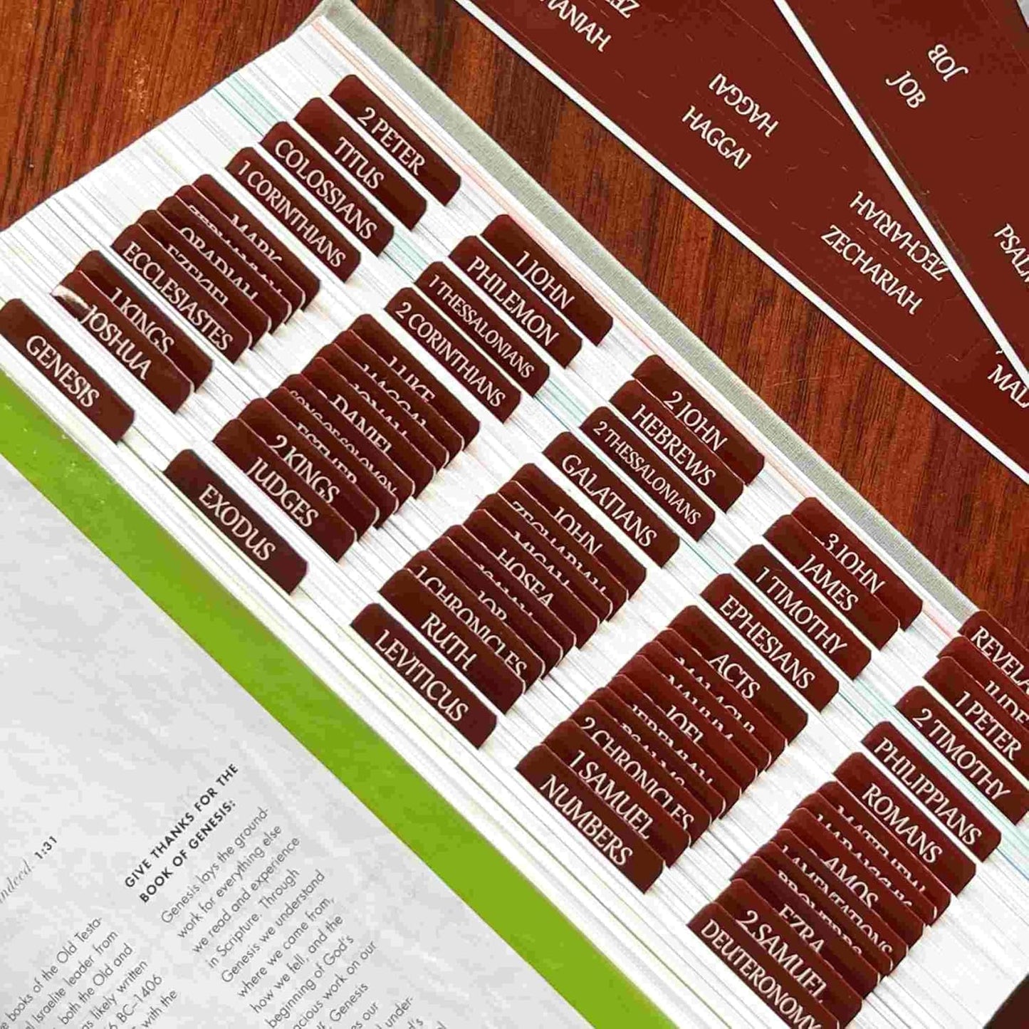 Thinkor Reposition Laminated Bible Tabs, Large Print Stickers, Easy to Read & Apply Bible Tabs for Women & Man (Earthy Brown)