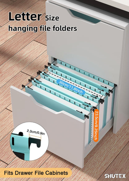 Shutex Extra Capacity Plastic Hanging File Folders,12 Pack Reinforced Hang Folders,Heavy Duty 2 Inch Expansion,Plastic Filing Cabinet Folders,Letter Size,Designed for Bulk Files, Medical Charts,Blue