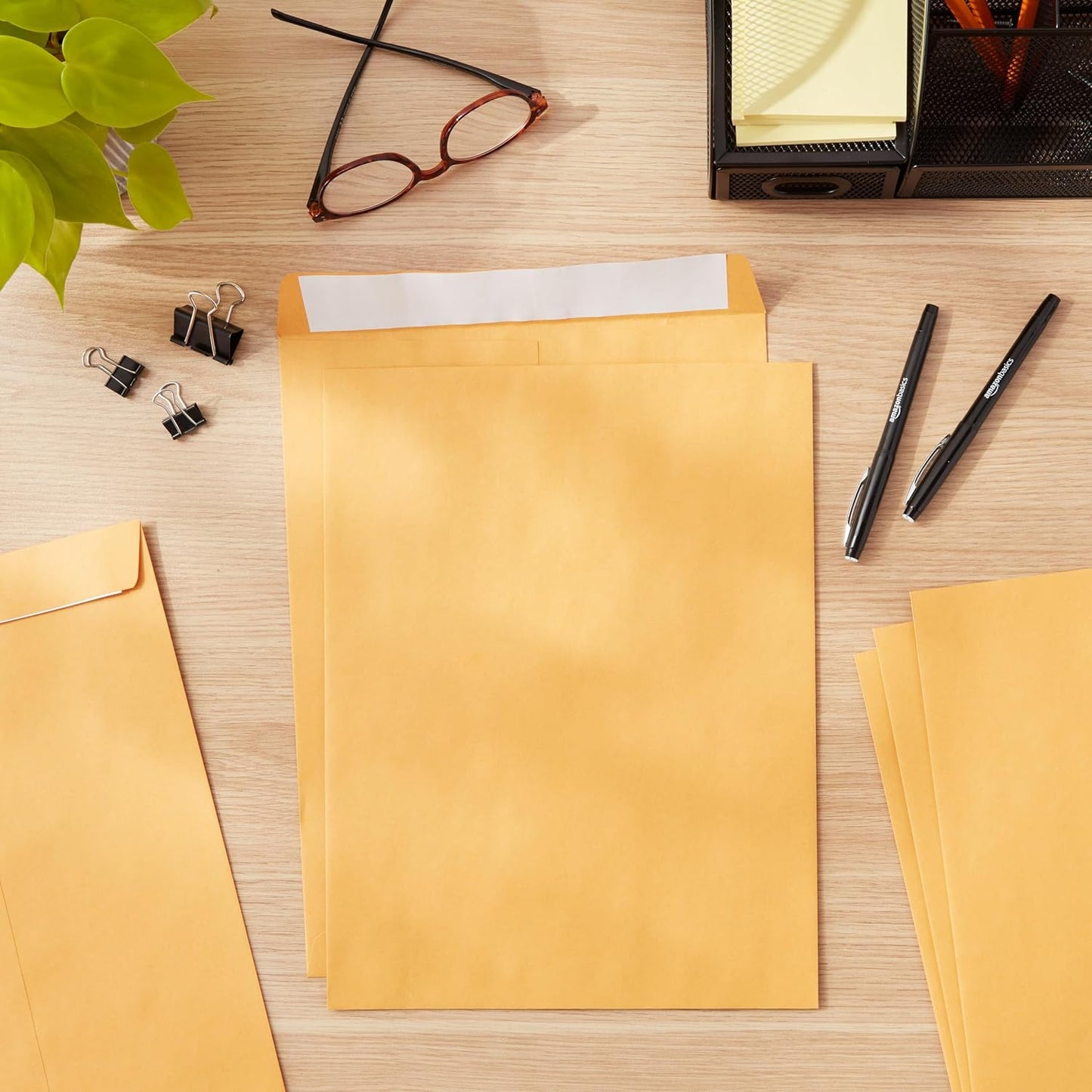Amazon Basics Catalog Mailing Envelopes, Peel and Seal, 9" x 12", Brown Kraft, 100-Pack