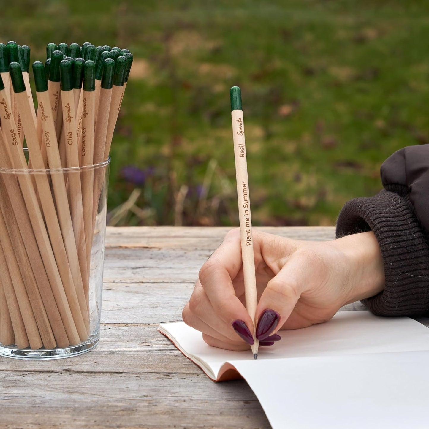 SproutWorld Wood-Cased Pencils | Mindful Thoughts Edition | HB Pre-Sharpened Graphite Plantable Wooden Pencils with Flower, Herb & Vegetable Seeds | Gift with Inspirational Quotes | 8 Pack