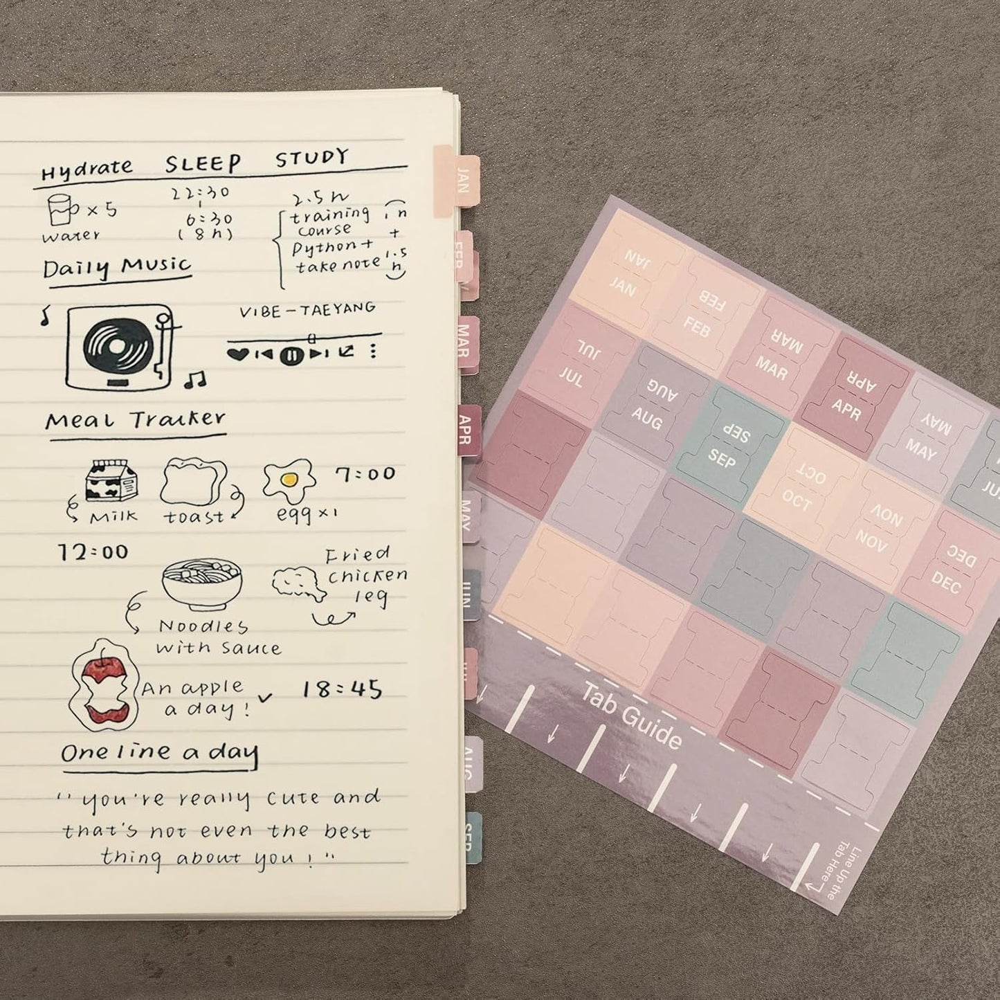 Lumintutu Laminated Planner Monthly Stickers,40 Adhesive Plan Tabs for Notebooks (2 Sets 12 Month Tabs and 16 Blank Tabs), Calendar Monthly Divider Set (Cappuccino)