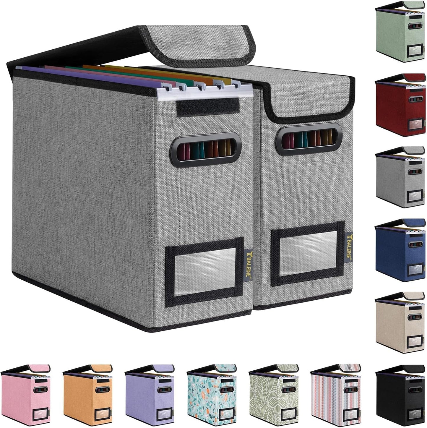 BALEINE File Organizer Box with Lid, Collapsible File Folder Organizer with Plastic Slide, Hanging File Folder Box for Office Document Storage (1 Pack, Black)