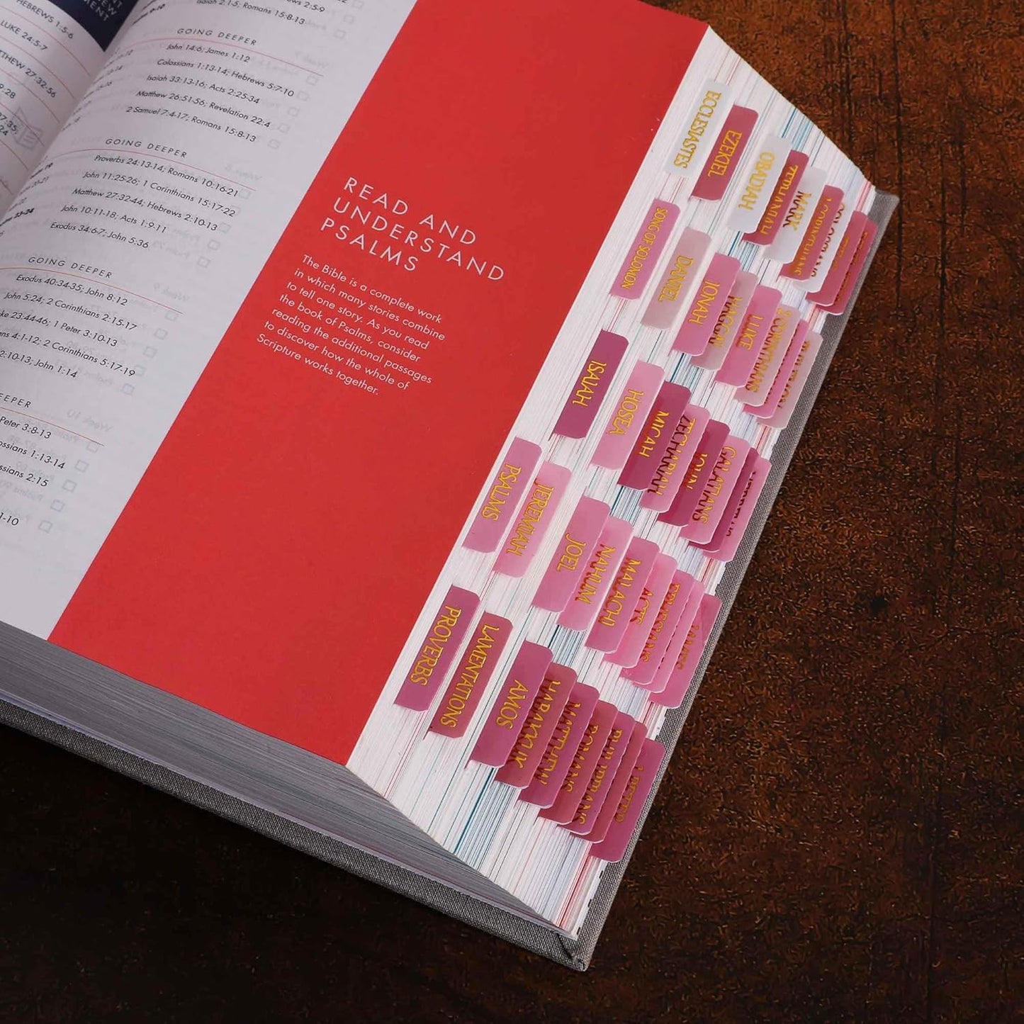 Thinkor- Repositionable Bible Tabs, 66 Pink Theme Laminated Tabs for Women, Thinkor for Study Bible