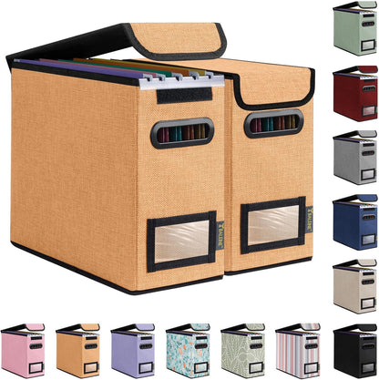 BALEINE File Organizer Box with Lid, Collapsible File Folder Organizer with Plastic Slide, Hanging File Folder Box for Office Document Storage (1 Pack, Black)