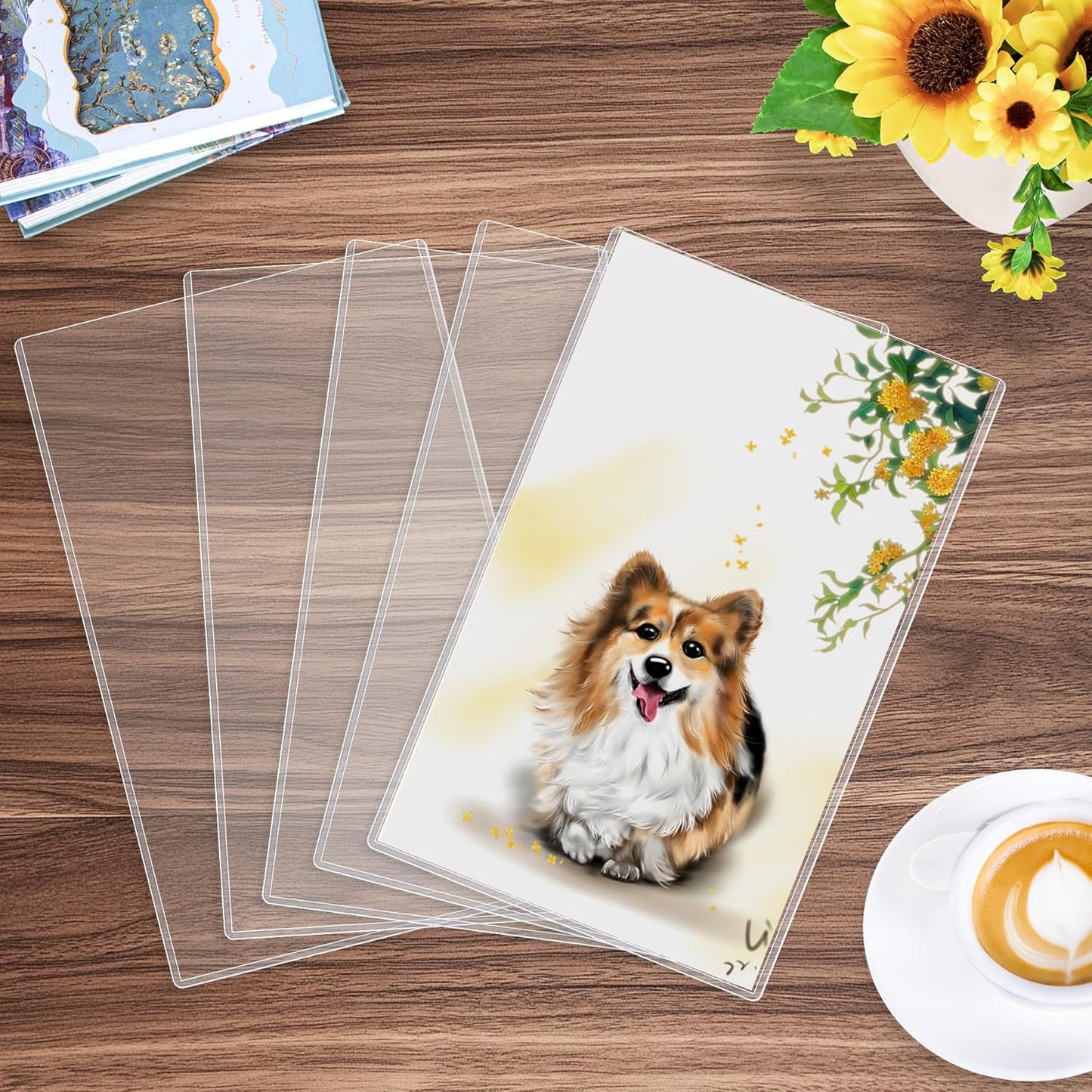 AKONEGE 5PCS 9" x 12" Rigid Print Protectors Clear Plastic Sheet Protectors, Heavy Duty Top Loading Document Holder, Menu Cover, Photo Poster Sleeves Hard Plastic Sleeves for Paper Art Prints