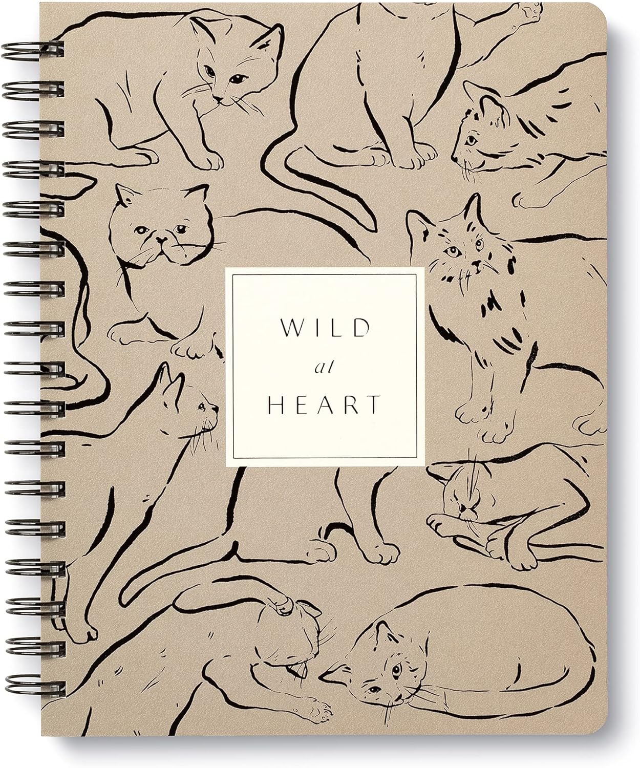 Compendium Spiral Notebook – Expect the Best Things to Happen Today – A Designer Spiral Notebook with 192 Lined Pages, College Ruled, 7.0" W x 9.25" H