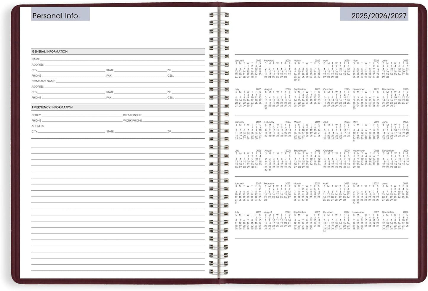 AT-A-GLANCE 2026 Appointment Book Planner, Weekly, 8" x 11", Large, Quarter-Hourly, DayMinder, Black (G5200026)