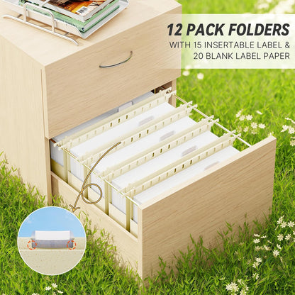 XINGIA Extra Capacity Wheat Straw Hanging File Folders Legal Size,2 Inch Expandable Plastic Hanging File Organizer,12 Pack Heavy Duty Hang Folders for Filing Cabinet,Bulky Files(Morandi Green)