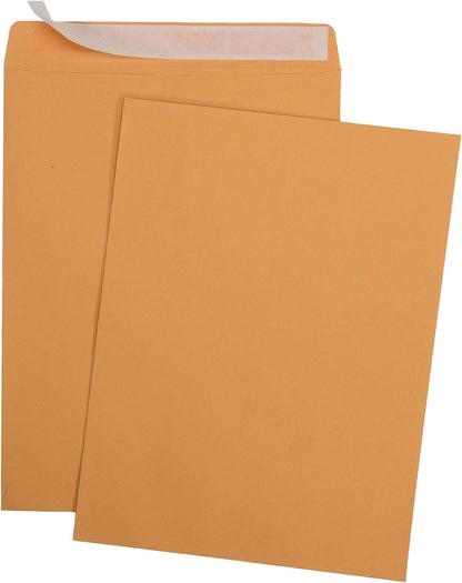 Aimoh 100 10 x 13 Self-Seal Brown Kraft Catalog Envelopes - 28lb, 100 Count, Ultra Strong Quick-Seal, 10x13 inch (39300)