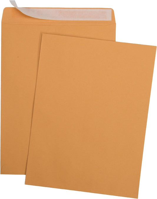 Aimoh 100 10 x 13 Self-Seal Brown Kraft Catalog Envelopes - 28lb, 100 Count, Ultra Strong Quick-Seal, 10x13 inch (39300)
