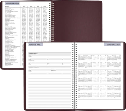 AT-A-GLANCE 2026 Appointment Book Planner, Weekly, 8" x 11", Large, Quarter-Hourly, DayMinder, Black (G5200026)
