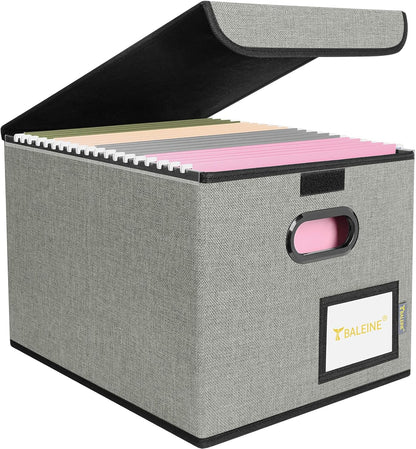 BALEINE File Organizer Box with Lid, Collapsible File Folder Organizer with Plastic Slide, Hanging File Folder Box for Office Document Storage (1 Pack, Black)