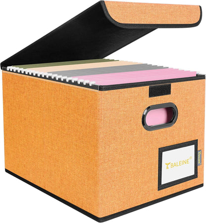 BALEINE File Organizer Box with Lid, Collapsible File Folder Organizer with Plastic Slide, Hanging File Folder Box for Office Document Storage (1 Pack, Black)