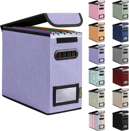BALEINE File Organizer Box with Lid, Collapsible File Folder Organizer with Plastic Slide, Hanging File Folder Box for Office Document Storage (1 Pack, Black)