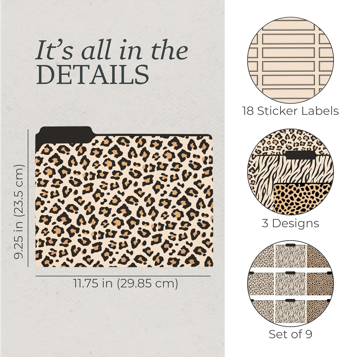 Steel Mill & Co Cute File Folders, Set of 9, Document Organizer for Filing Cabinet, Decorative Letter Size Files, Wanderlust