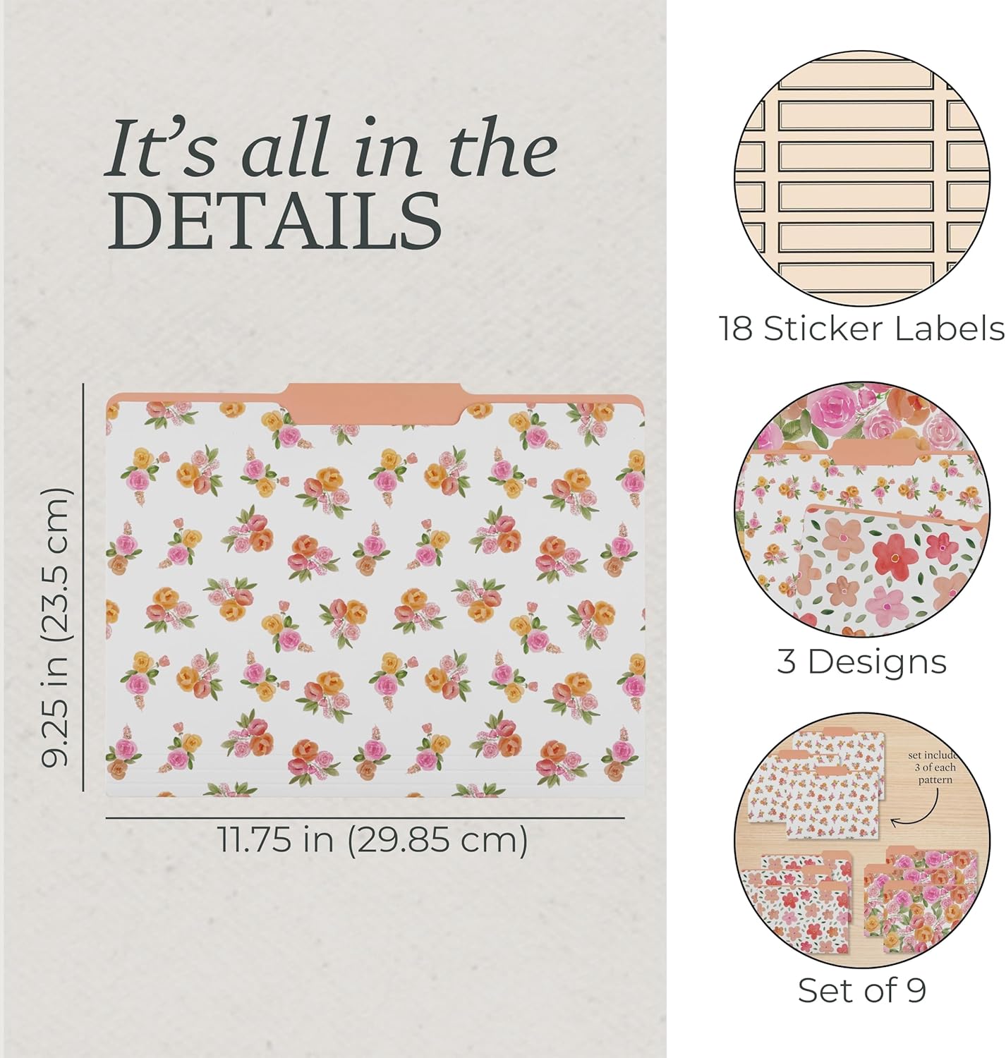 Steel Mill & Co Cute File Folders, Set of 9, Document Organizer for Filing Cabinet, Decorative Letter Size Files, Wanderlust