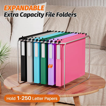 SHUTEX Extra Capacity Plastic Hanging File Folders,12 Pack Reinforced Hang Folder,Heavy Duty 1 Inch Expansion,Filing Cabinet Folders Letter Size for Bulk Files/Medical Charts, Black