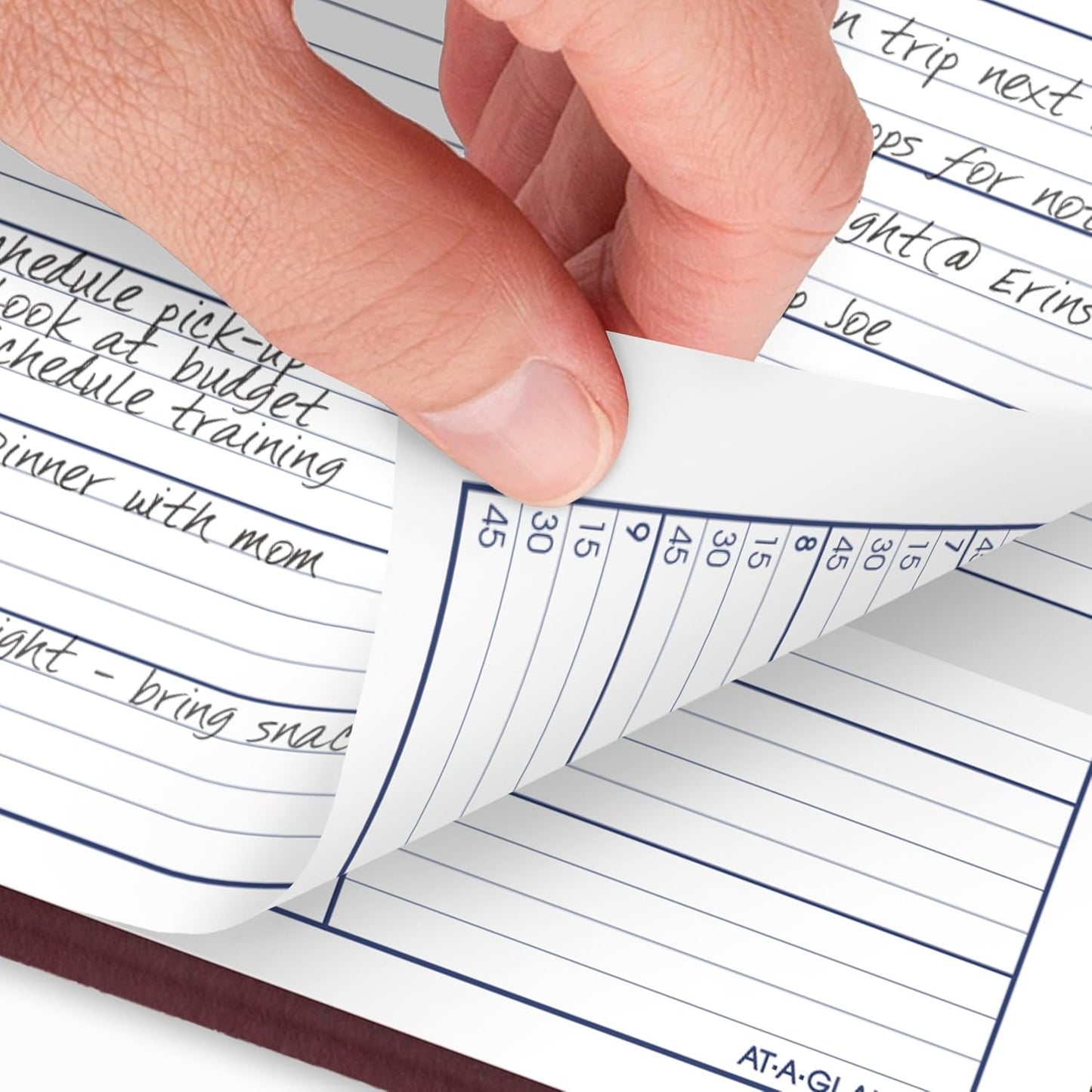 AT-A-GLANCE 2026 Appointment Book Planner, Weekly, 8" x 11", Large, Quarter-Hourly, DayMinder, Black (G5200026)