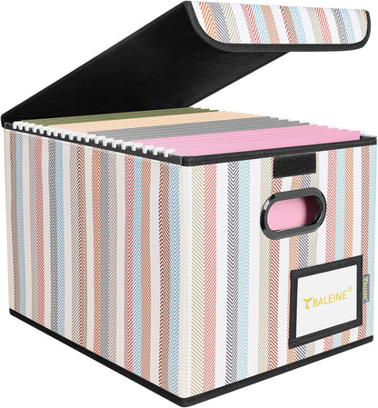 BALEINE File Organizer Box with Lid, Collapsible File Folder Organizer with Plastic Slide, Hanging File Folder Box for Office Document Storage (1 Pack, Black)