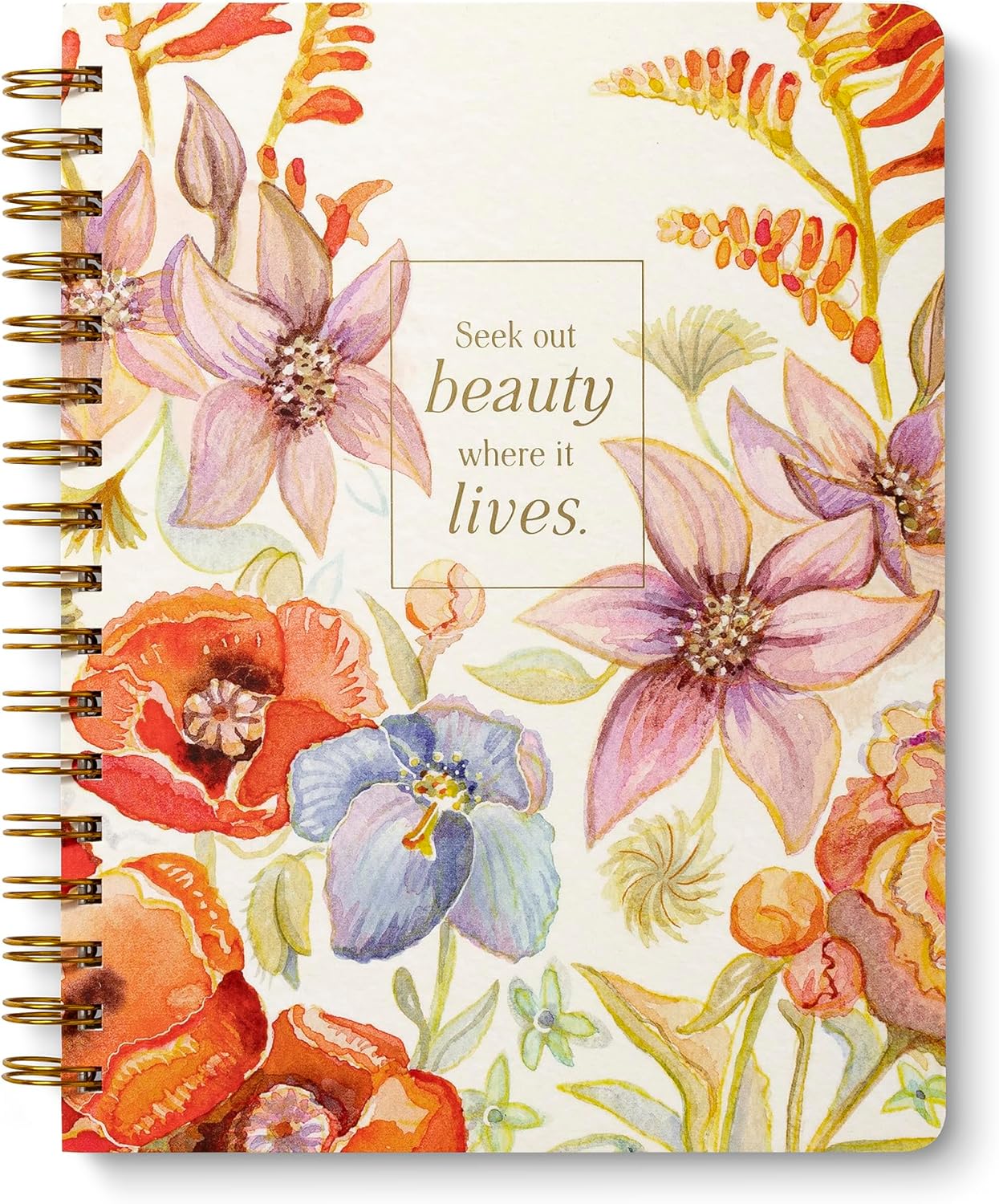 Compendium Spiral Notebook – Expect the Best Things to Happen Today – A Designer Spiral Notebook with 192 Lined Pages, College Ruled, 7.0" W x 9.25" H