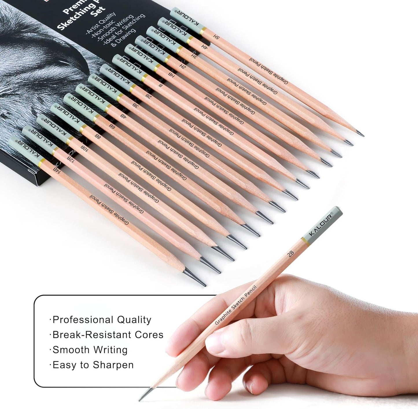 KALOUR 29 Pro Sketching Drawing Pencils Set with Roll-Up Nylon Case – 14 Graphite Pencils (14B–5H), Charcoal Pencils, Erasers, Sharpener & Stumps – Complete Art Kit for Artists & Beginner