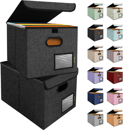 BALEINE File Organizer Box with Lid, Collapsible File Folder Organizer with Plastic Slide, Hanging File Folder Box for Office Document Storage (1 Pack, Black)