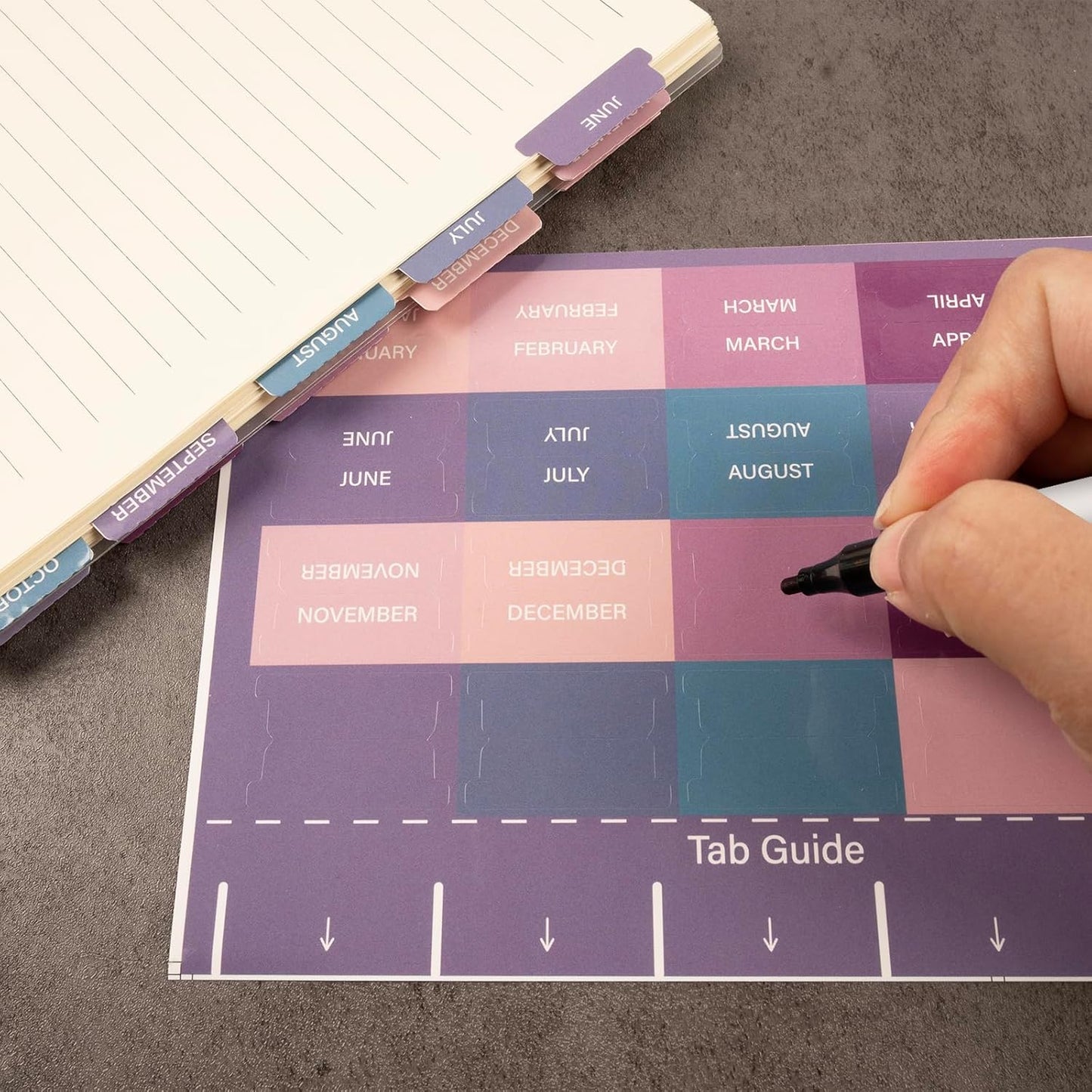 Lumintutu Laminated Planner Monthly Stickers,40 Adhesive Plan Tabs for Notebooks (2 Sets 12 Month Tabs and 16 Blank Tabs), Calendar Monthly Divider Set (Cappuccino)