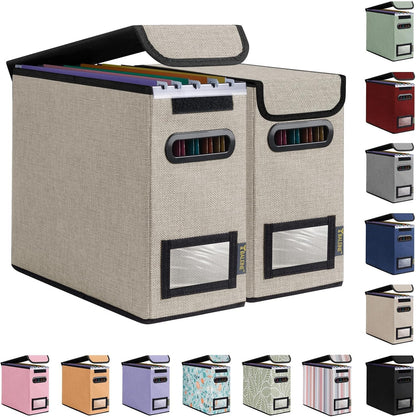 BALEINE File Organizer Box with Lid, Collapsible File Folder Organizer with Plastic Slide, Hanging File Folder Box for Office Document Storage (1 Pack, Black)