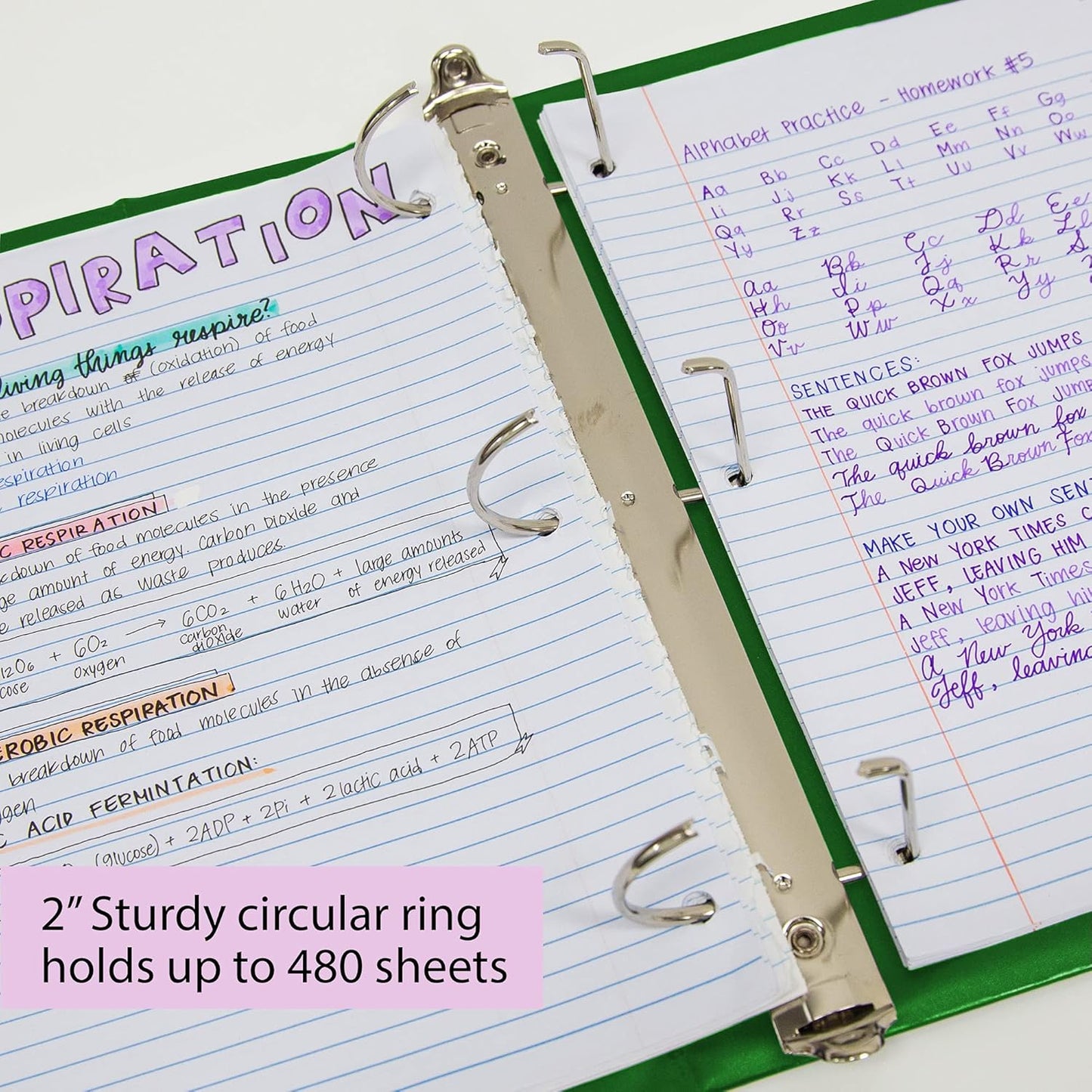 BAZIC Products 3 Ring Binder 2" View Binders Slant D Ring Organizer - Burgundy, Hold 480 Sheets Paper, for School Office Home, 1-Count